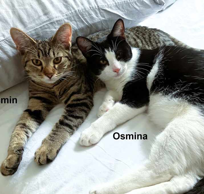 Photo of Osmina and Yasmin