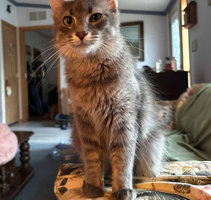 Photo of Snookie