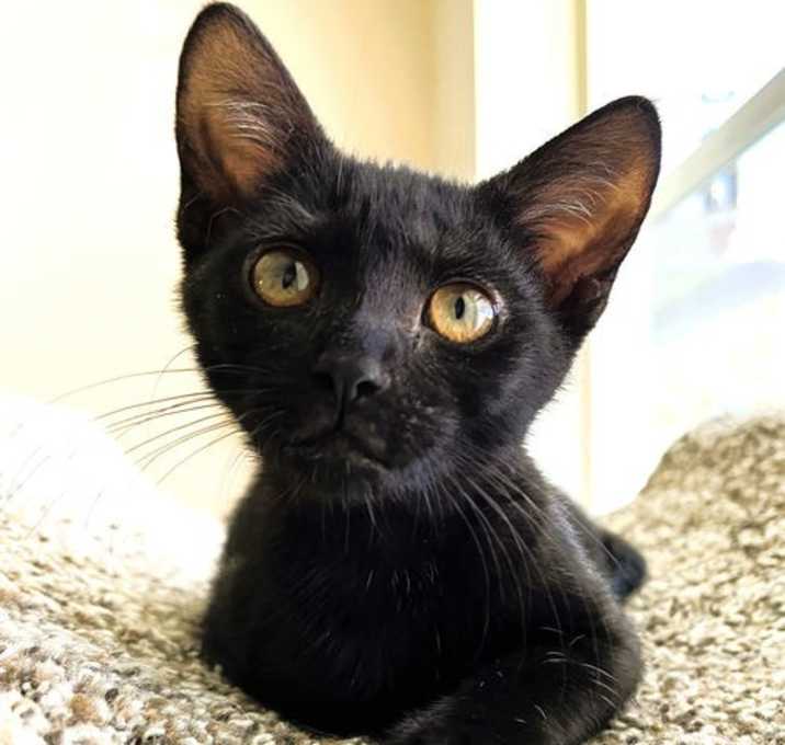 Photo of Charlotte