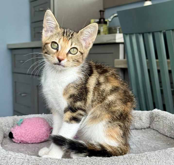 Photo of Bonnie