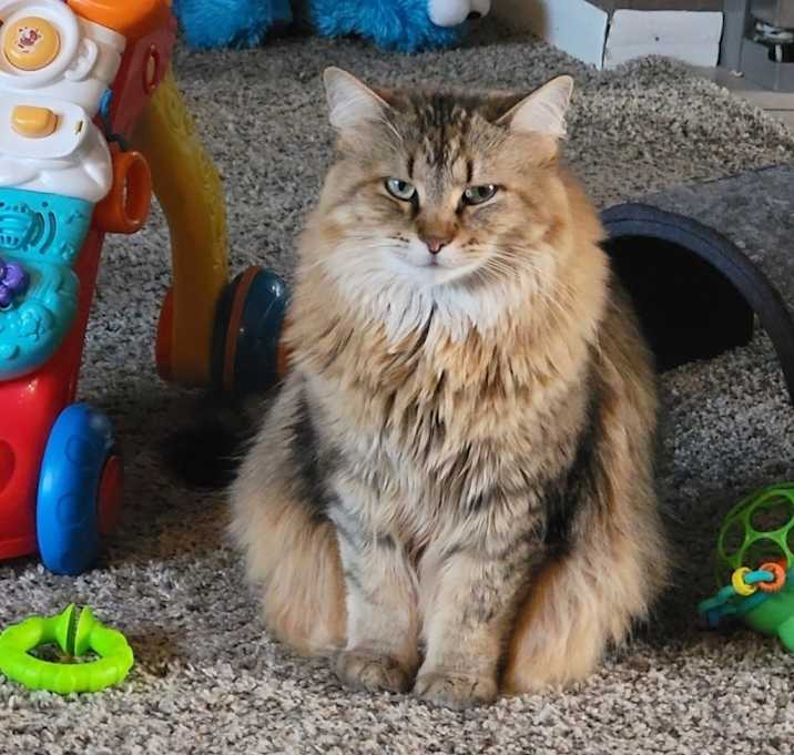 Photo of Amelia