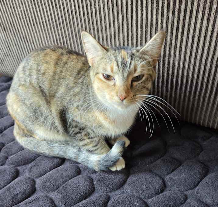 Photo of Maggie