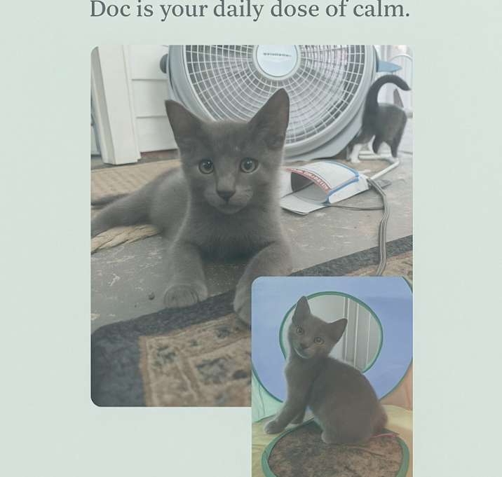 Photo of Doc