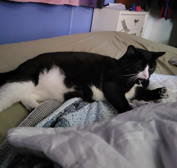 Photo of Daisy