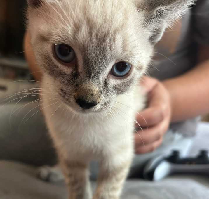 Photo of Unnamed