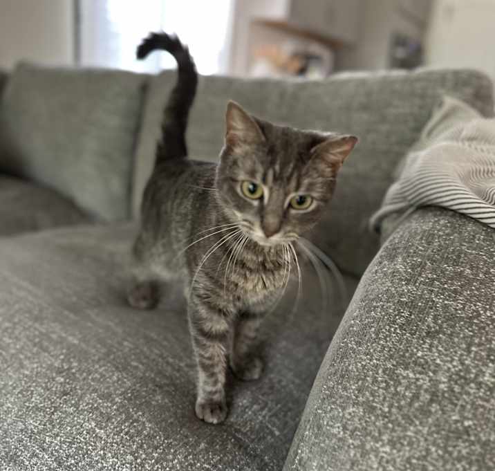 Photo of Kaliope
