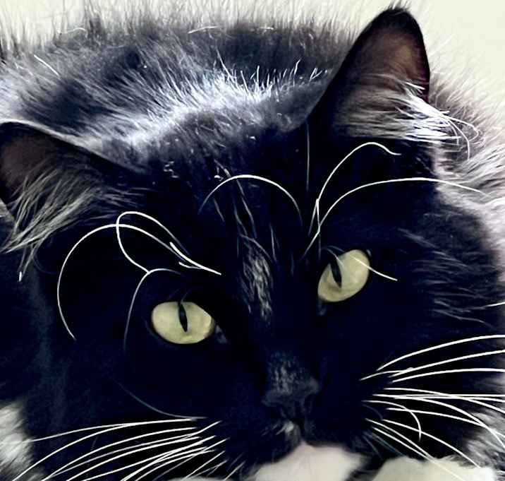Photo of Lorien