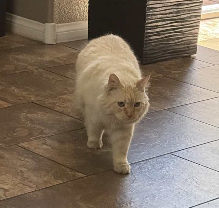 Photo of Lily