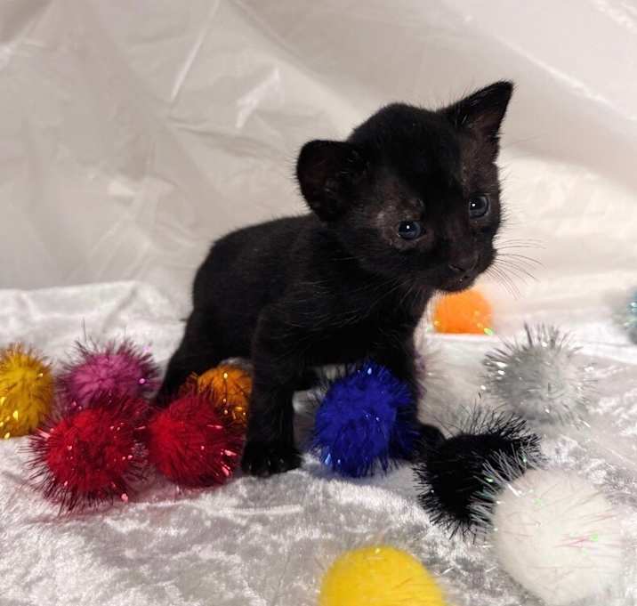 Photo of Klaus Burnham