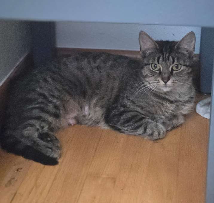 Photo of Sassy