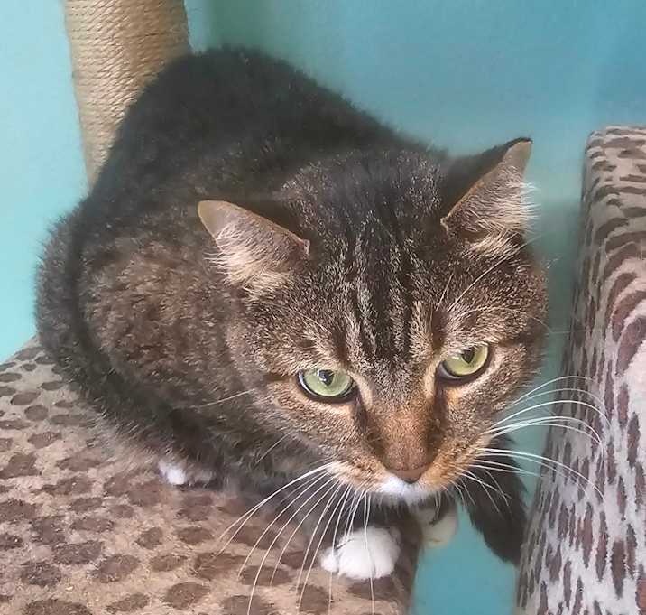 Photo of Molly