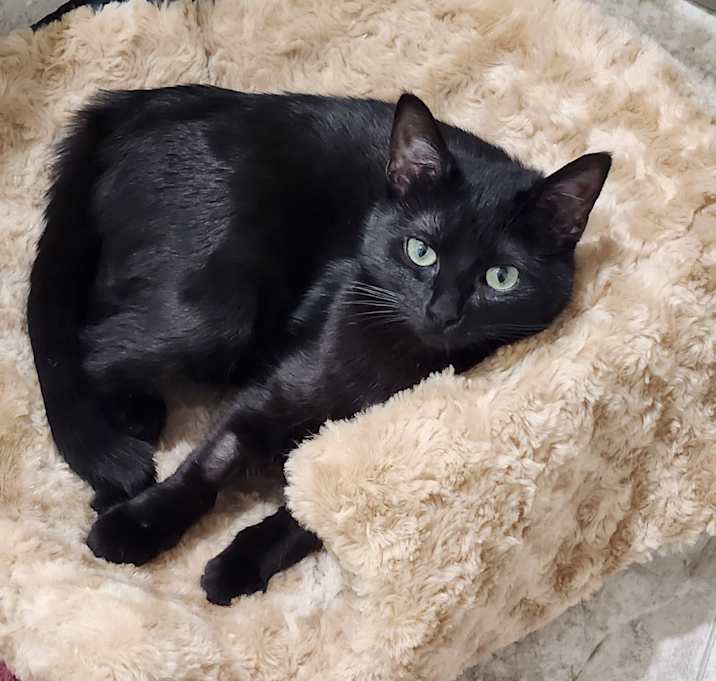 Photo of Lily