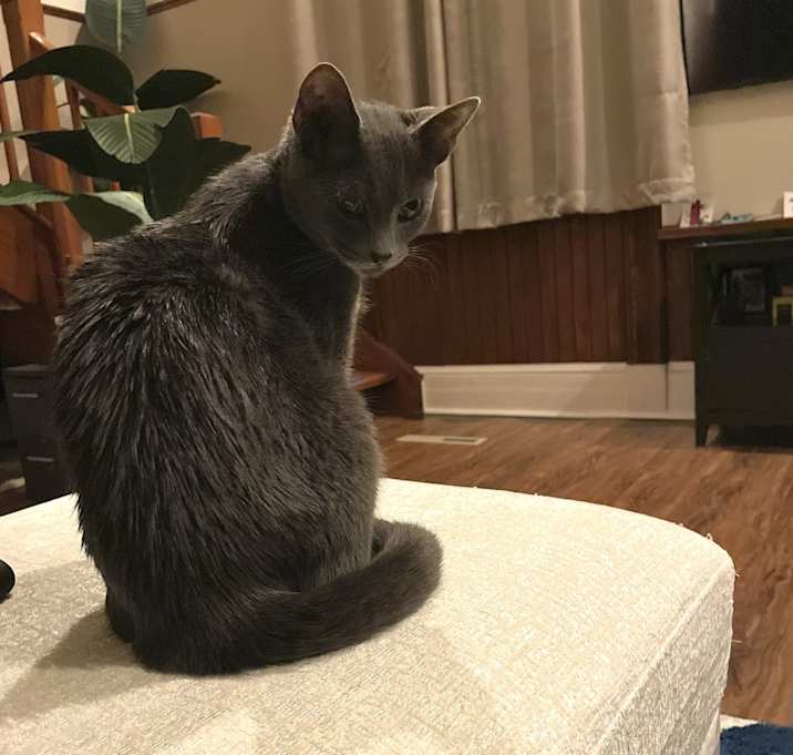 Photo of Teeka