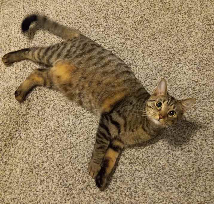 Photo of Sasha