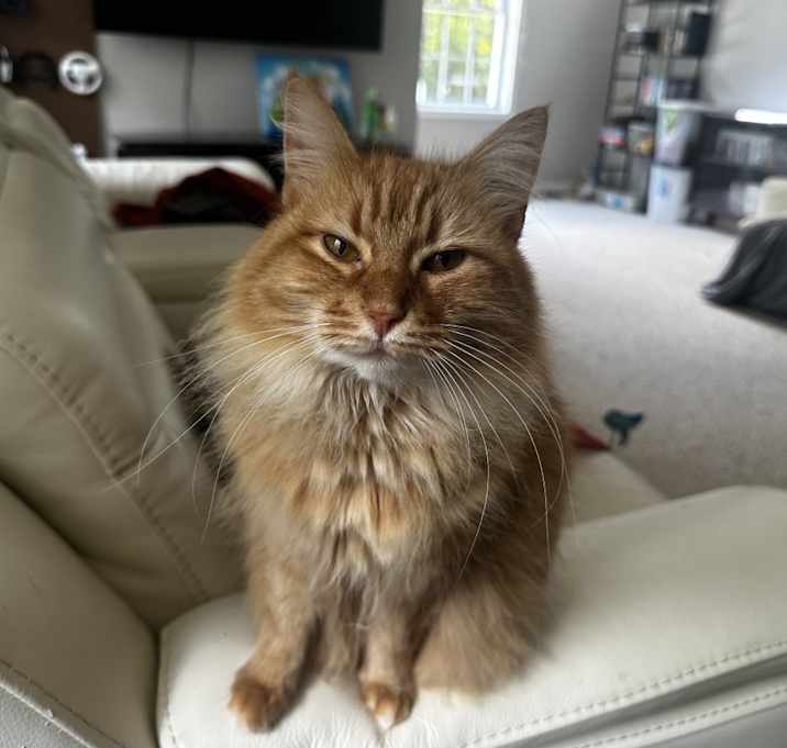 Photo of Maya
