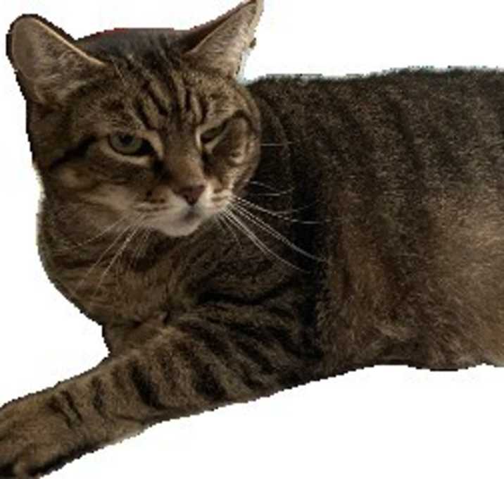 Photo of Max