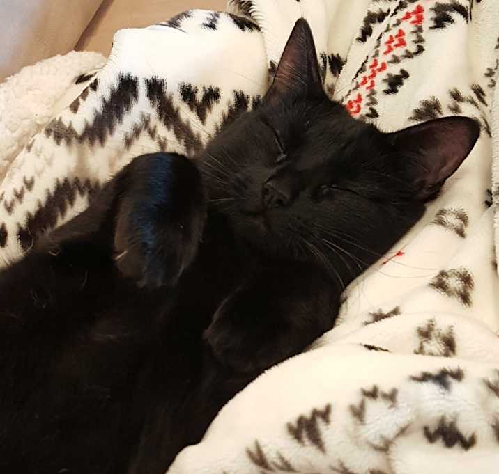 Photo of Penelope
