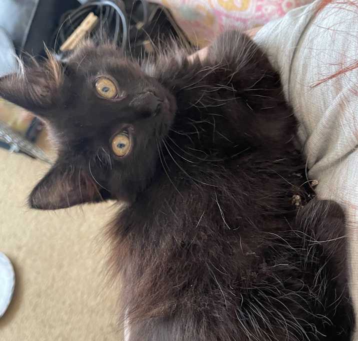 Photo of Butterball