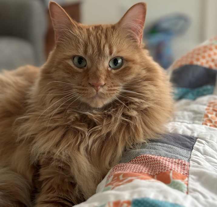 Photo of Bert