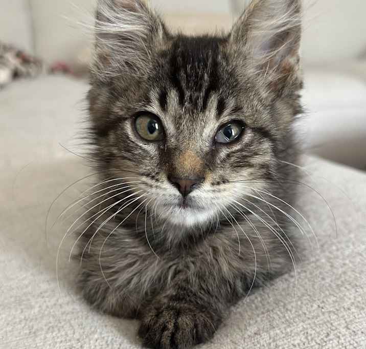 Photo of Arthur