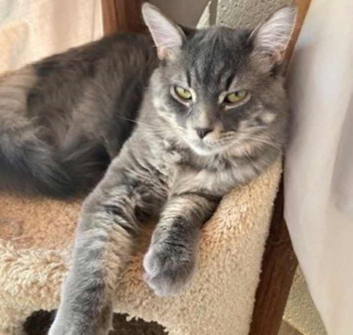 Photo of Jasper