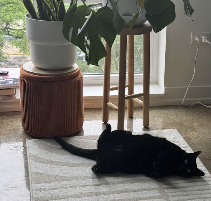 Photo of Luna