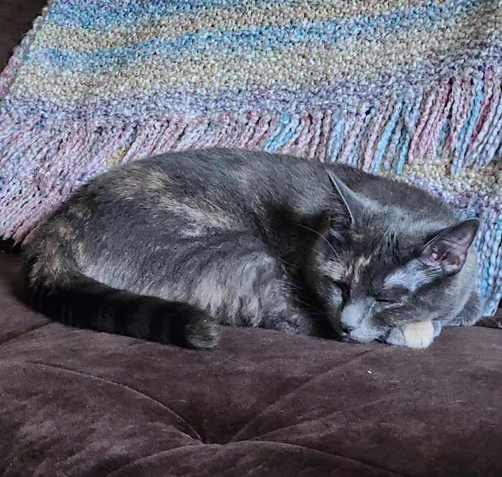Photo of Ruby