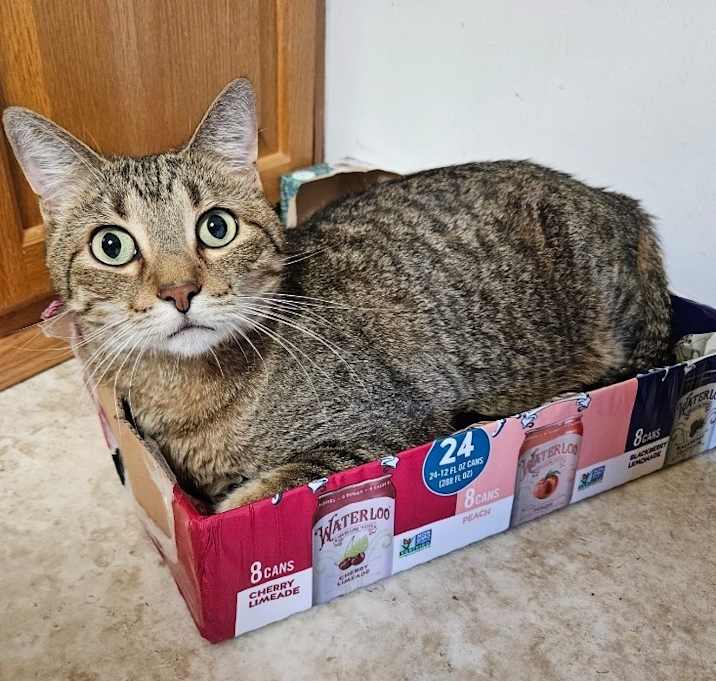 Photo of Bandit