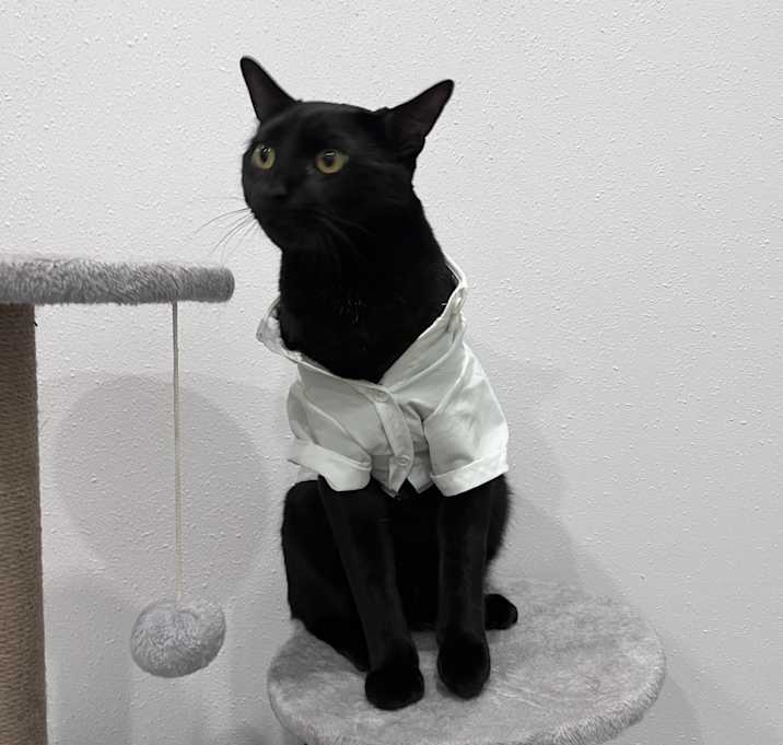 Photo of Zuko