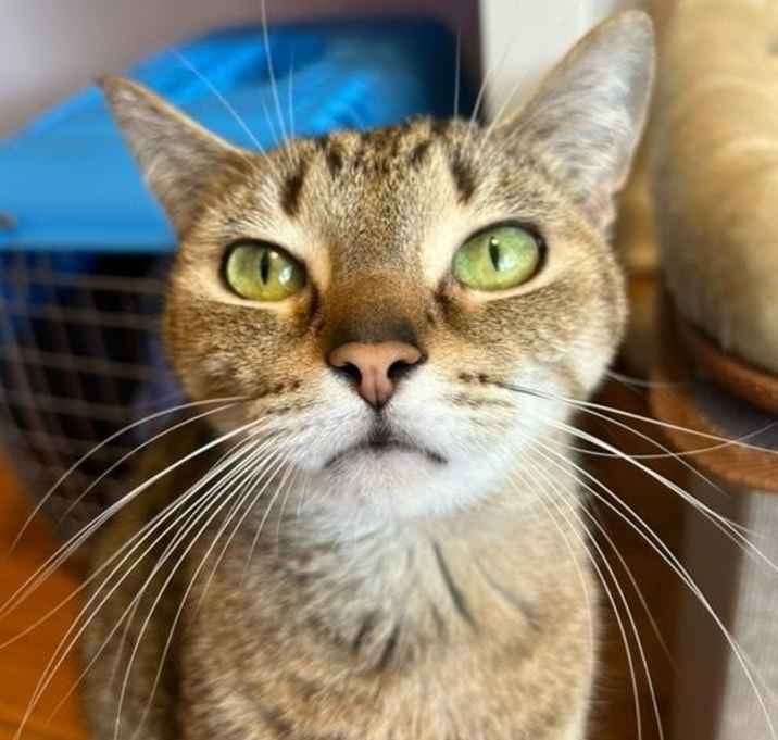 Photo of Mabel