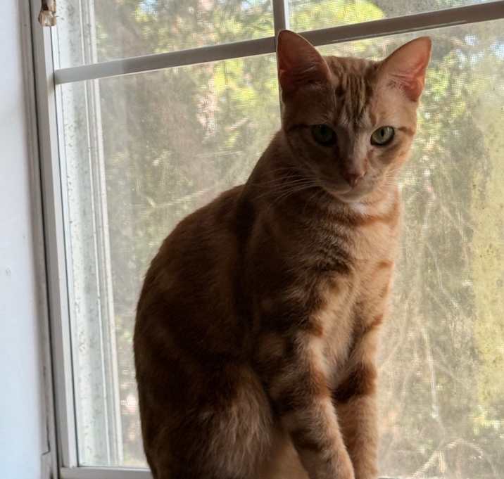 Photo of Paxton