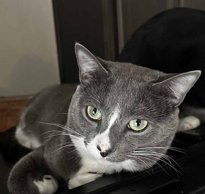 Photo of Thumper