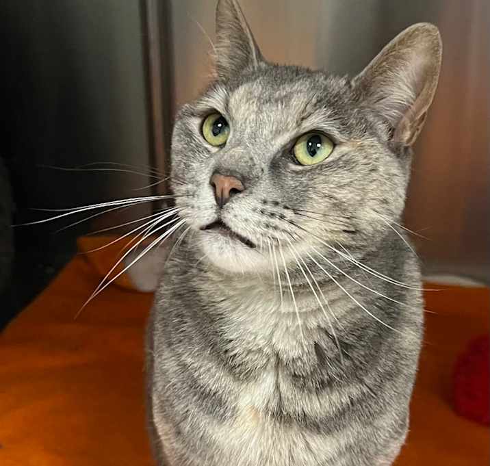 Photo of Tina