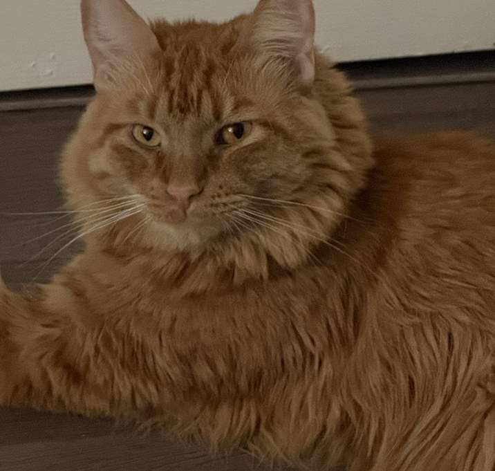 Photo of Zeus
