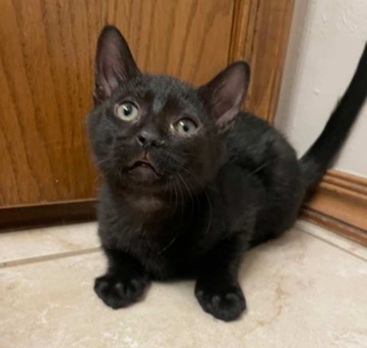 Photo of Ralph