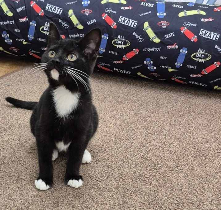 Photo of Rascal