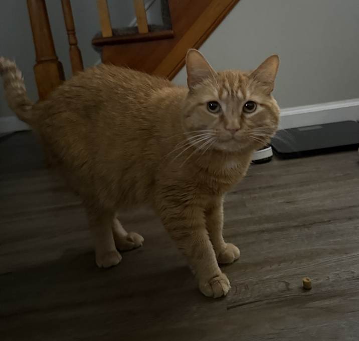 Photo of Pablo