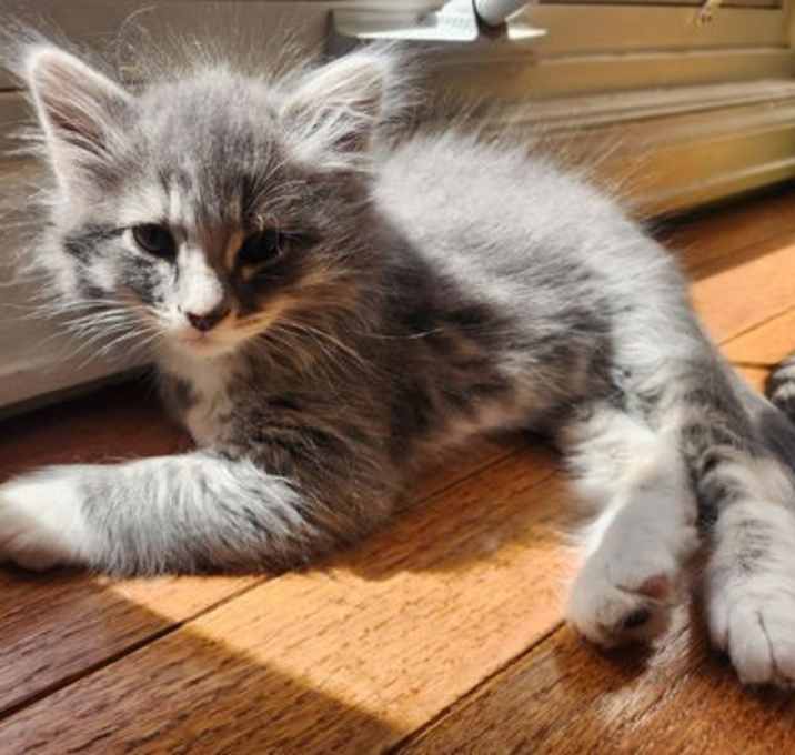 Photo of Niles