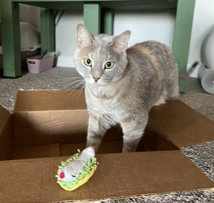Photo of Heidi