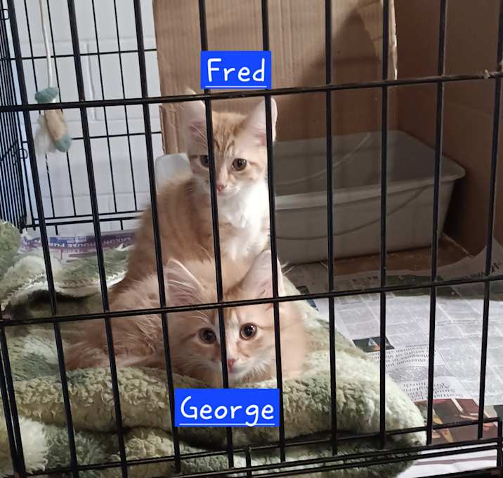 Photo of Fred