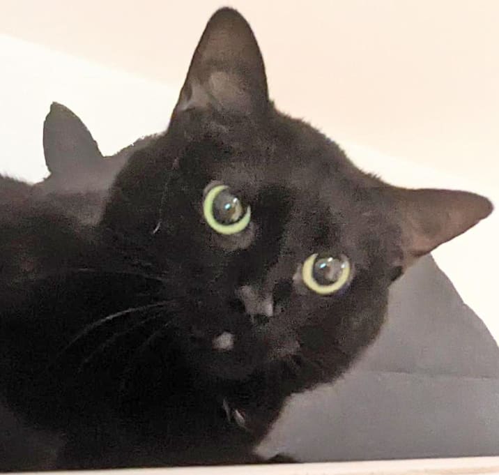 Photo of Lucie