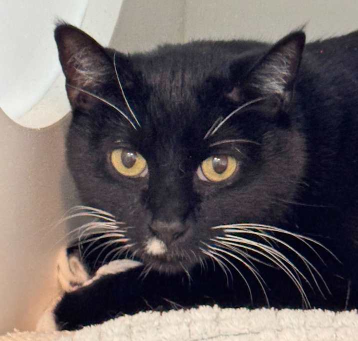 Photo of Bond