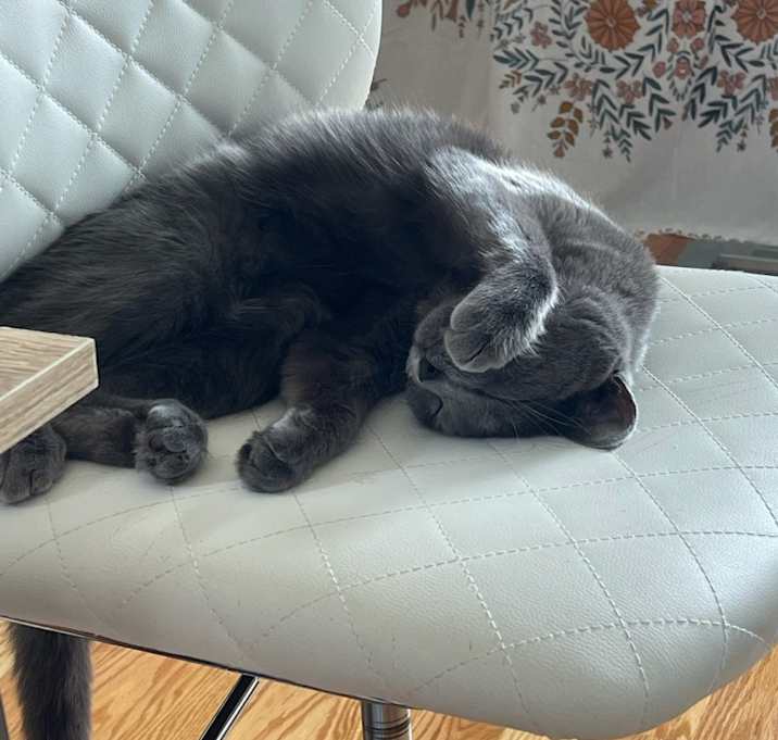 Photo of Skye