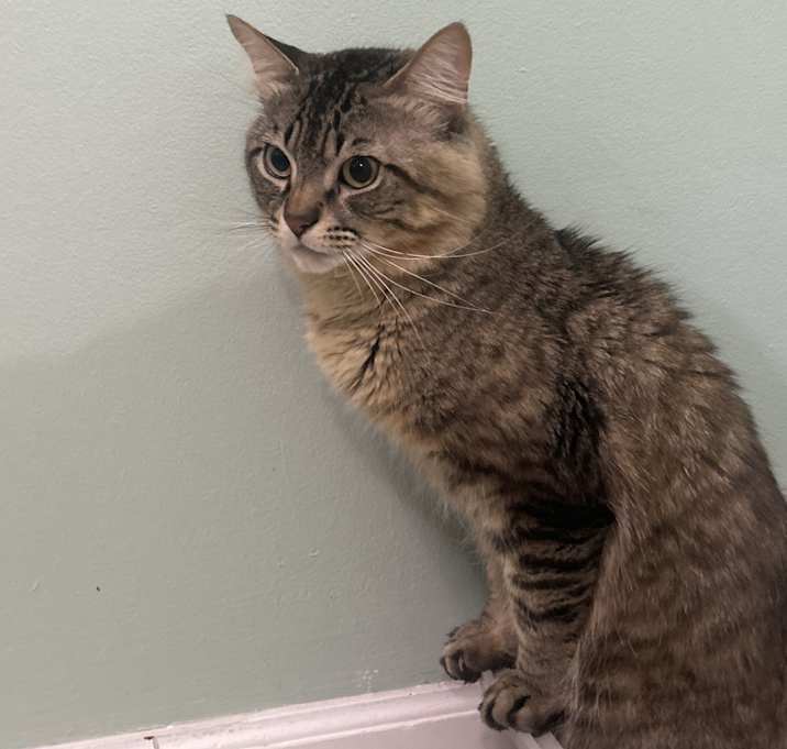 Photo of Ace