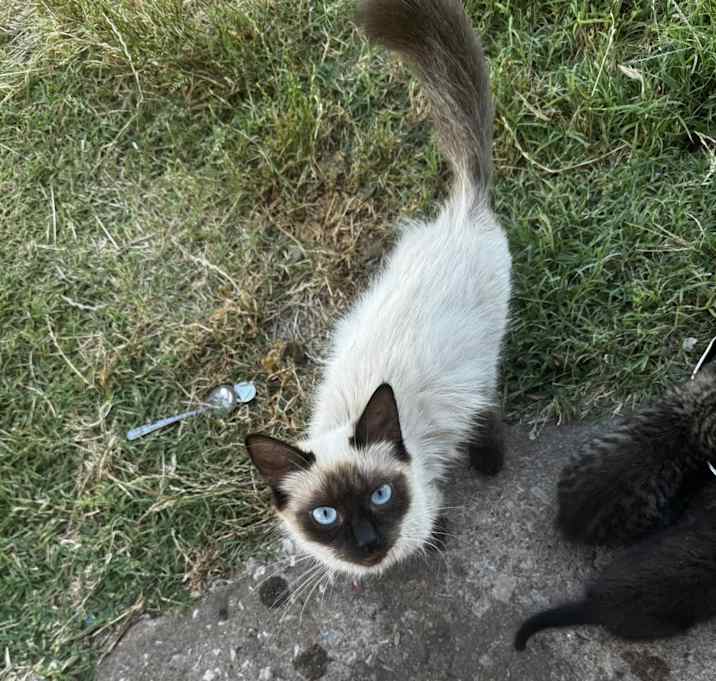 Photo of Kilo