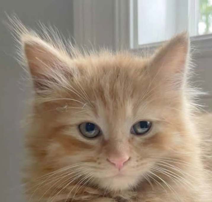 Photo of Murphy