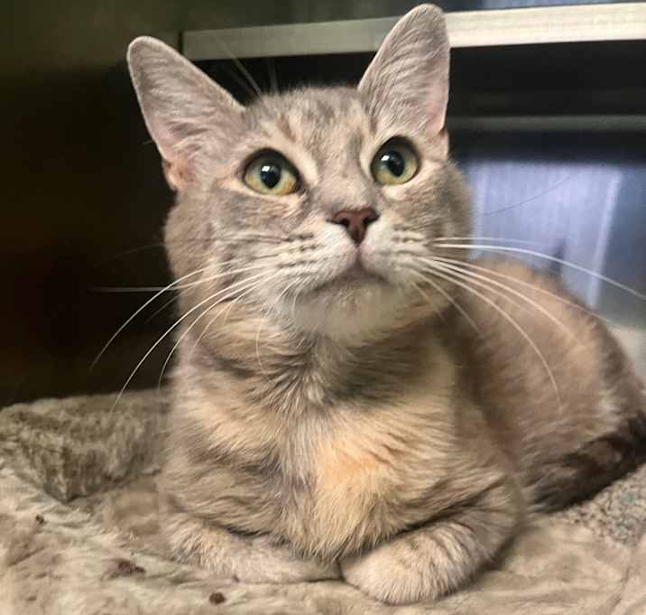 Photo of Mama Cleo