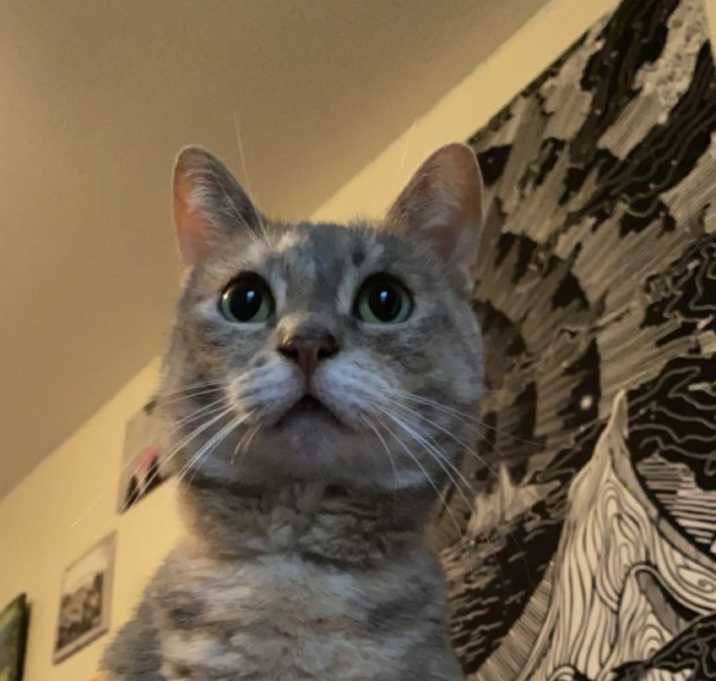 Photo of Zeva