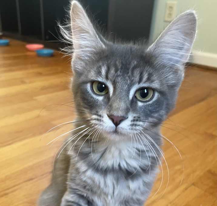 Photo of Nora