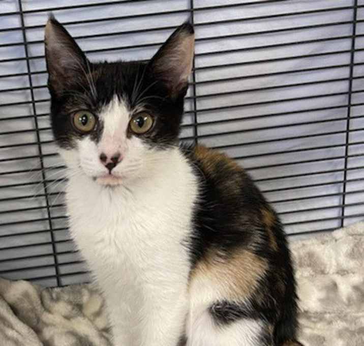 Photo of Thelma
